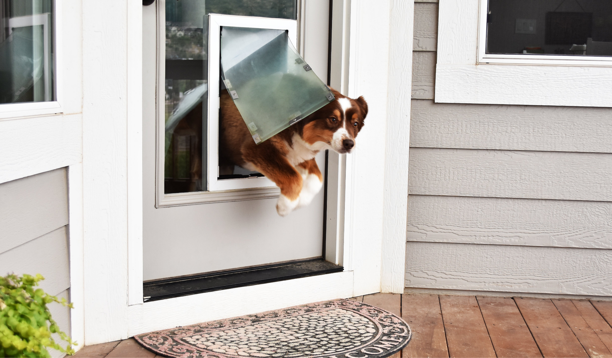 How To Choose the Right Size Dog Door