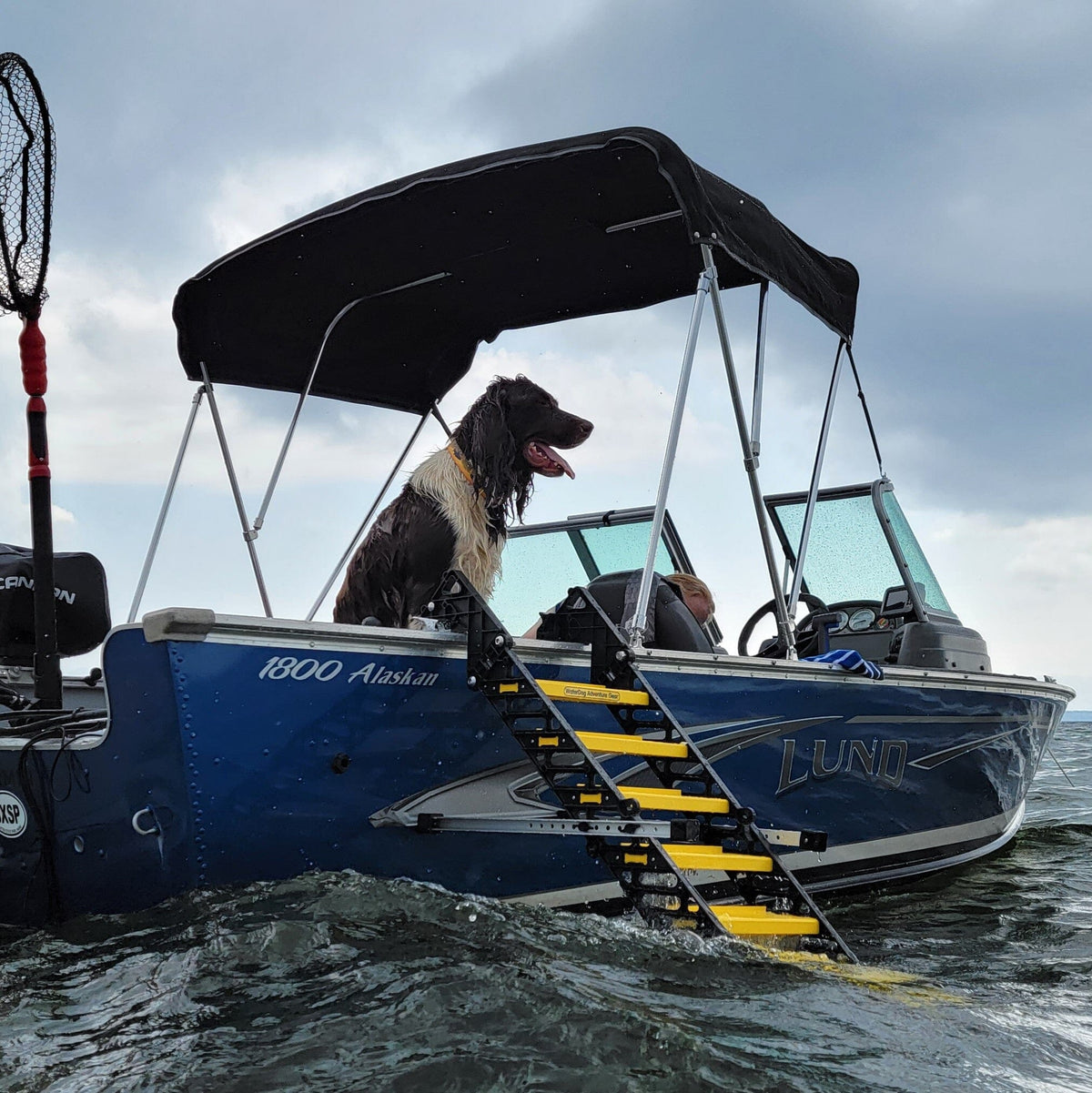 Fishing Boat Dog Ladder PYP