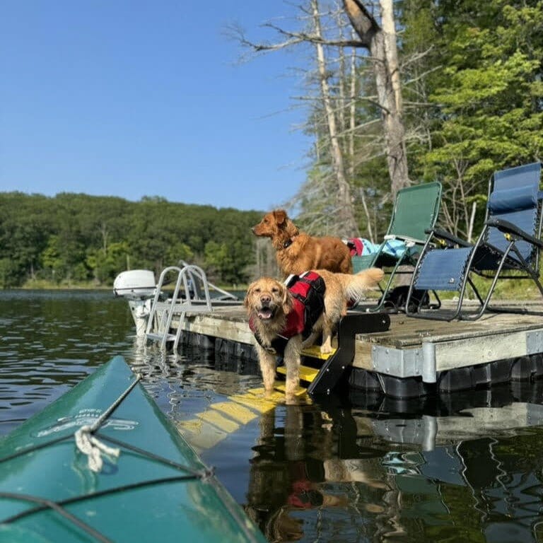 Dock Dog Ladder PYP