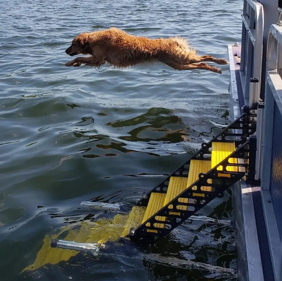 Pontoon Boat Dog Ladder PYP