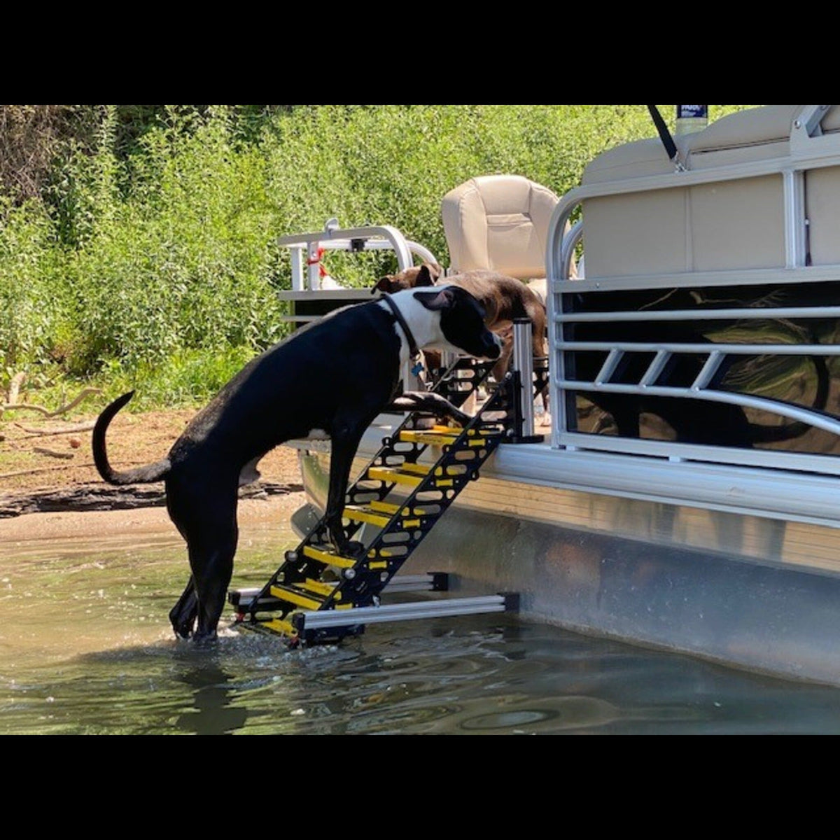 Pontoon Boat Dog Ladder PYP