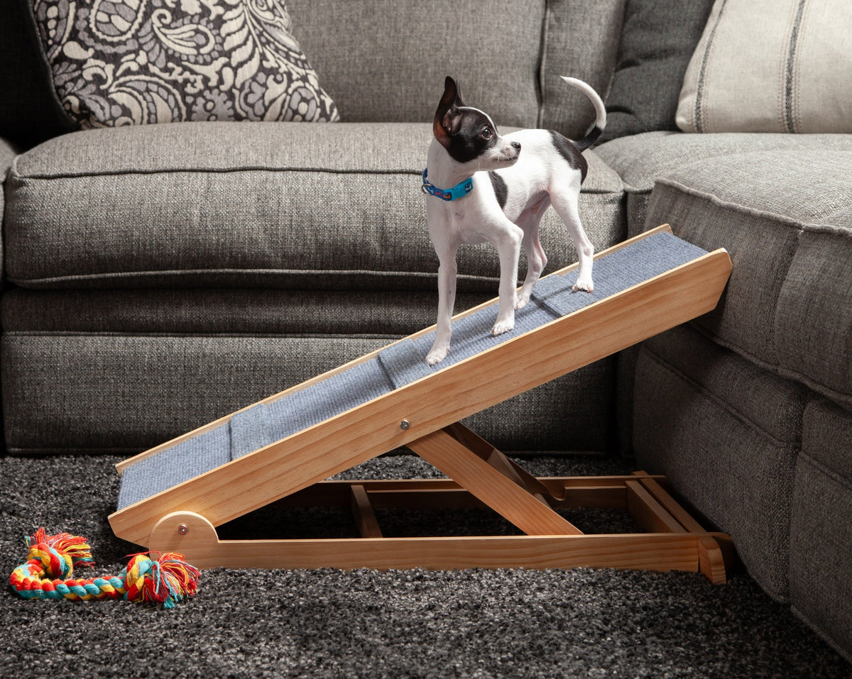 Dog-Proofer Indoor Pet Ramp