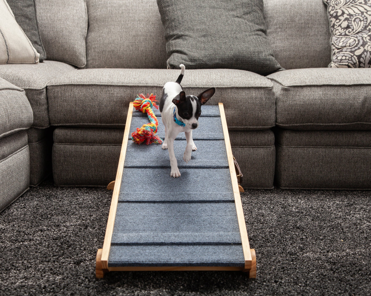 Dog-Proofer Indoor Pet Ramp