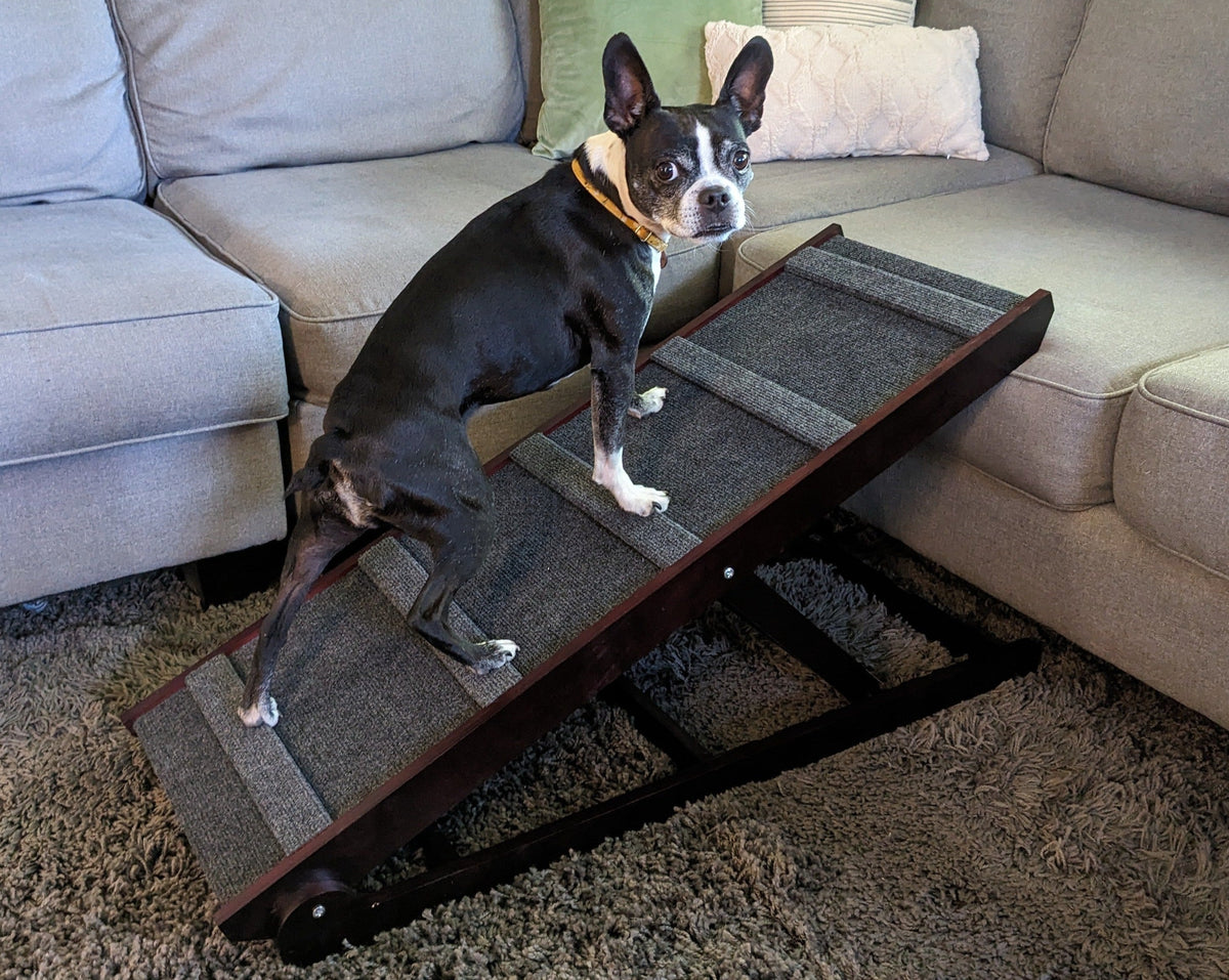 Dog-Proofer Indoor Pet Ramp