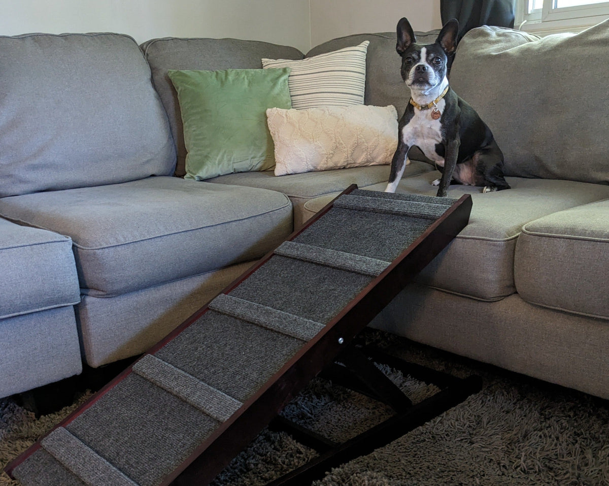 Dog-Proofer Indoor Pet Ramp