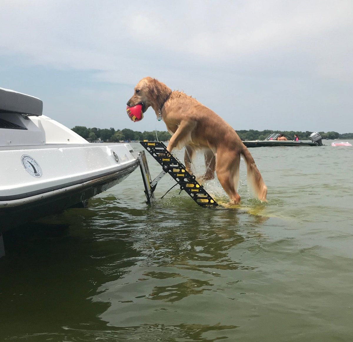 Fiberglass Boat Dog Ladder PYP