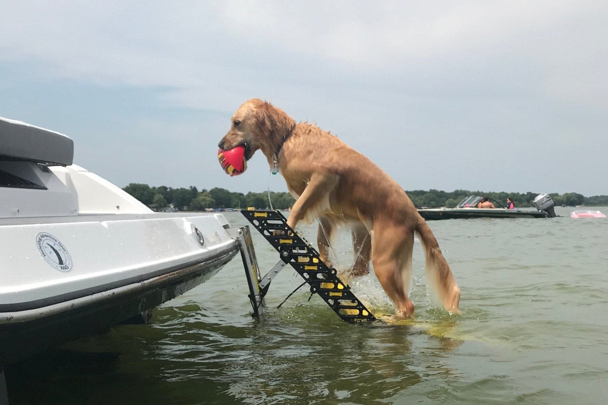 Dog shops steps for pontoon boat