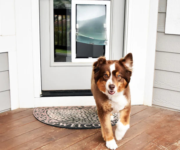 Double shop doggy door