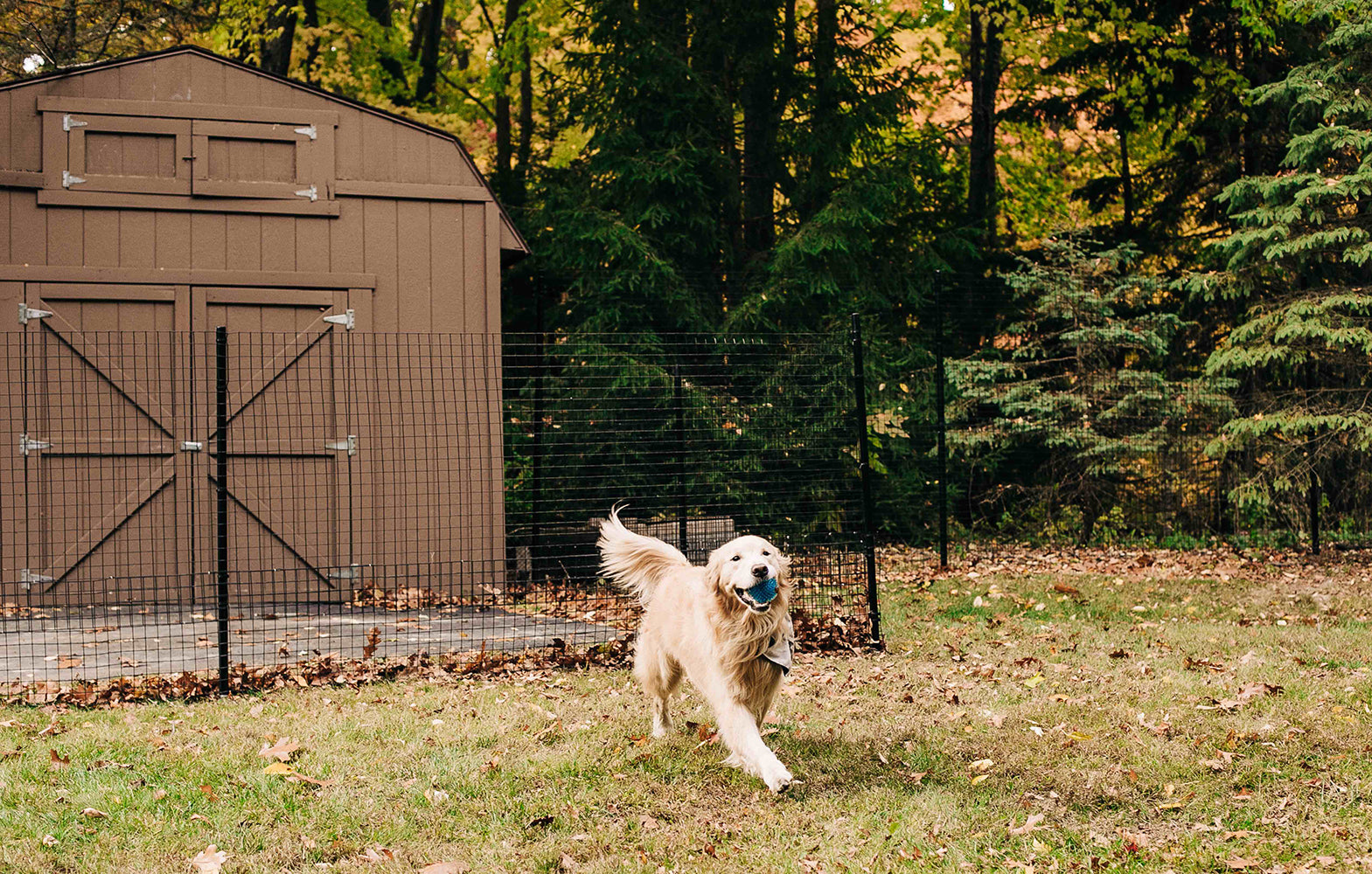 Modern Wrought Iron Dog Fences Pet Fence with Dog Door Large Dog