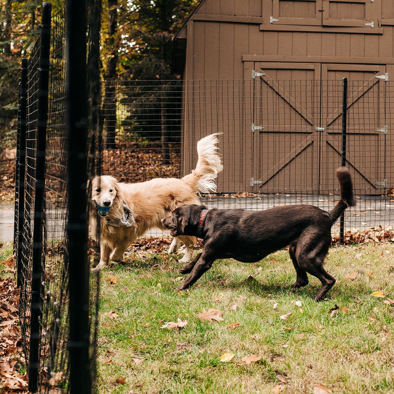 Another configuration of Dog Proofer's short freestanding dog fence with a square base, small image.